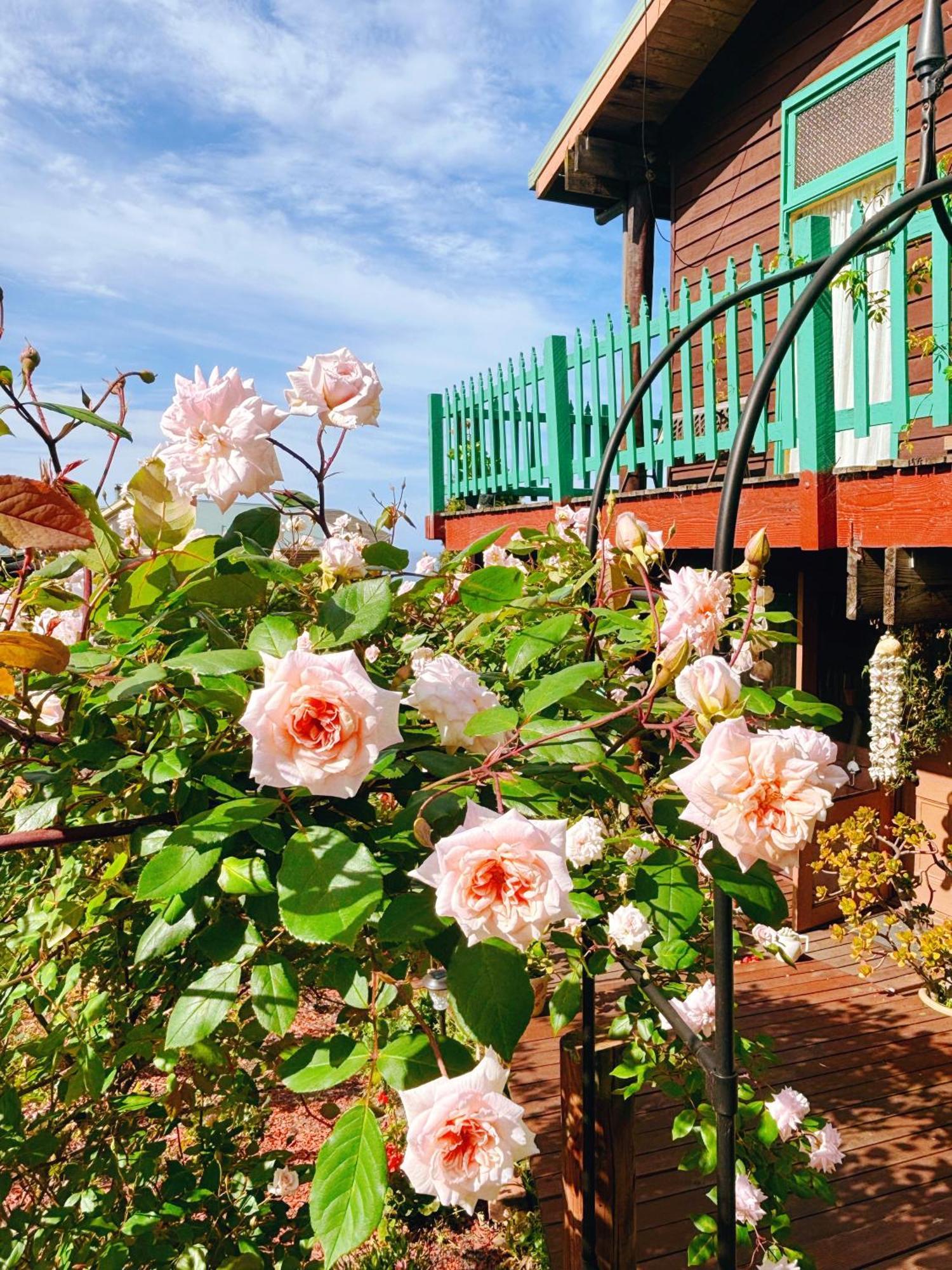 The Goat And Goose Bed & Breakfast Lakes Entrance Luaran gambar